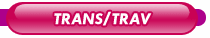 Top 50 des Profils Trans / Trav